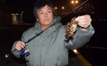 「キャスト不要の壁際攻略術!」冬でも楽しめるカサゴのライトソルトゲーム解説【三重】