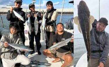 【沖のルアー釣果速報】伊勢湾のオフショアゲームでサワラ連発&マゴチ船中20匹と絶好調!(愛知)