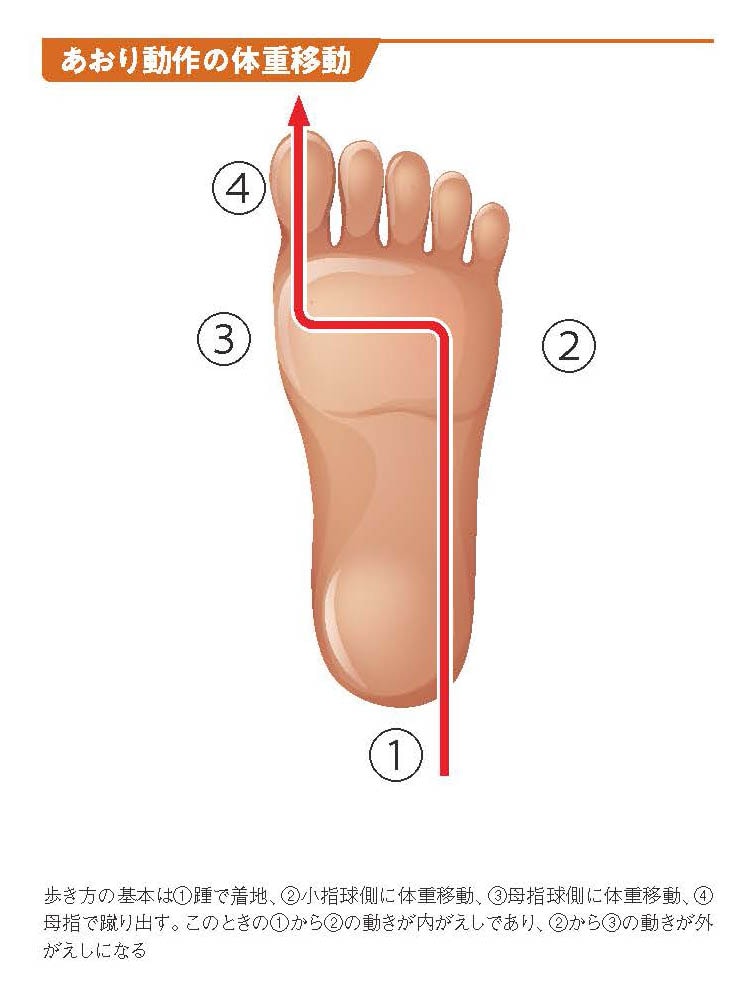 あおり動作の体重移動【スポーツ障害予防の教科書】