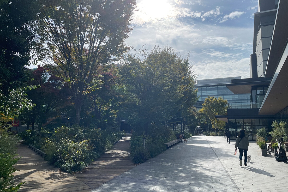 「サンサンロード」