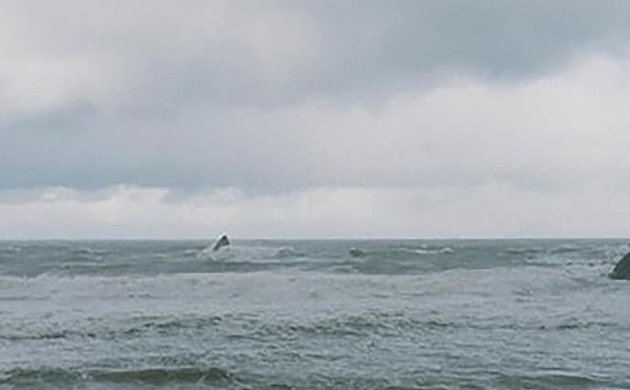 「釣りのために片道6時間半は当たり前？」 北海道在住アングラーの狂気的な運転事情