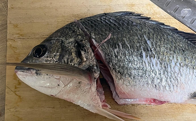 初めて釣った良型キビレで作る「鯛雑炊」レシピ　頑張って作ったのに味がしない？