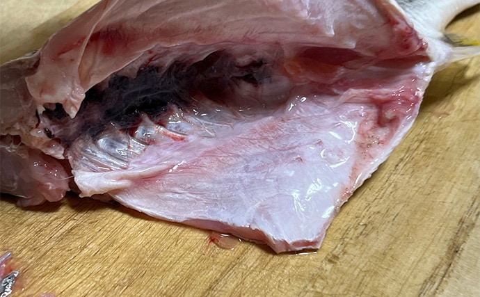 初めて釣った良型キビレで作る「鯛雑炊」レシピ　頑張って作ったのに味がしない？