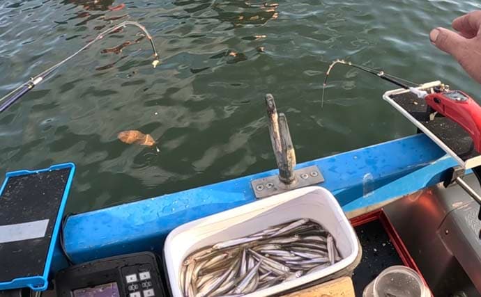 「951匹も1,000匹届かず……」入鹿池のボートワカサギ釣りで終始入れ食いの爆釣展開【愛知】