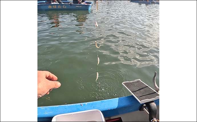 「951匹も1,000匹届かず……」入鹿池のボートワカサギ釣りで終始入れ食いの爆釣展開【愛知】