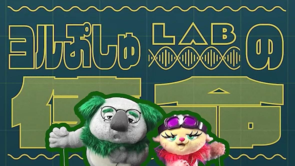 ヨルぷしゅ