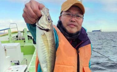 東京湾のショートアジ釣りで40cm級含み船中トップ17尾キャッチ【神奈川】速潮攻略がカギ