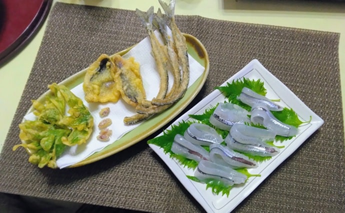 鹿島港サヨリ釣りで本命4匹と苦戦【茨城】まきエサワークとアワセが重要か