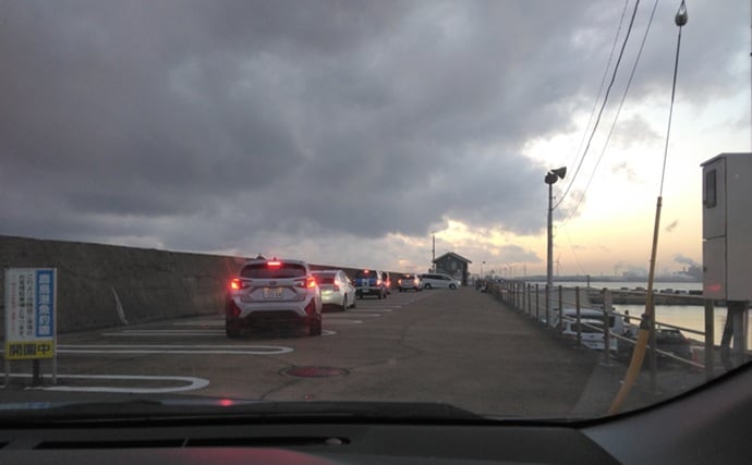 鹿島港サヨリ釣りで本命4匹と苦戦【茨城】まきエサワークとアワセが重要か