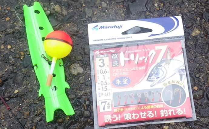 鹿島港サヨリ釣りで本命4匹と苦戦【茨城】まきエサワークとアワセが重要か