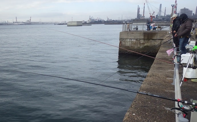 鹿島港サヨリ釣りで本命4匹と苦戦【茨城】まきエサワークとアワセが重要か