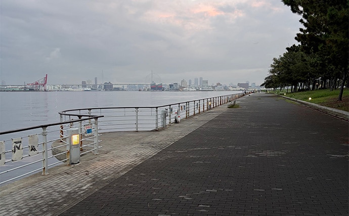 波止でのジグサビキ釣行でボウズ逃れのサバをキャッチ【大阪南港】雨後の水潮に苦戦