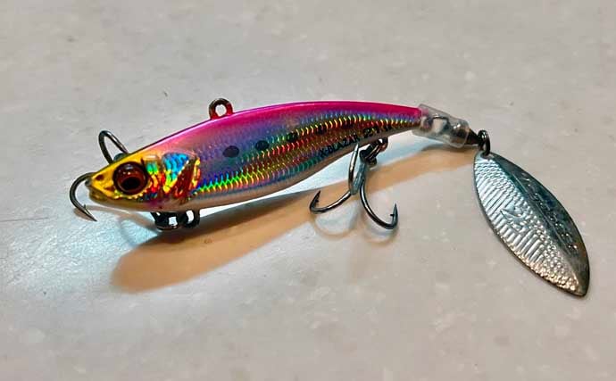 極寒の真冬の夜でもクロダイが連発！　温排水エリアをルアーで狙い撃ち