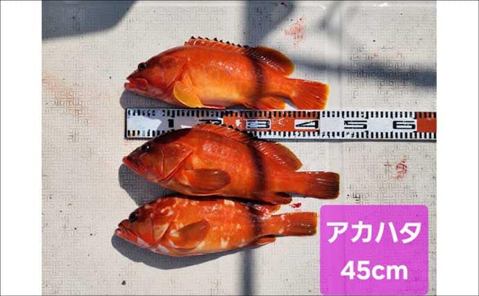 【沖のルアー釣果速報】鳥羽沖のキャスティングゲームでサワラ93cm含む青物が大連発！（三重）