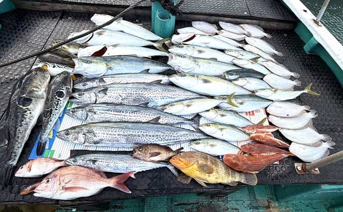 【沖のルアー釣果速報】鳥羽沖のキャスティングゲームでサワラ93cm含む青物が大連発！（三重）