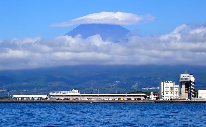 「想像以上の性能に感激!」人気の自動航行システム『ミンコタ』をボート釣りに導入してみた