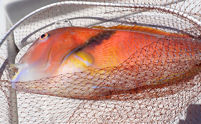 「想像以上の性能に感激!」人気の自動航行システム『ミンコタ』をボート釣りに導入してみた