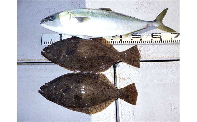 底物五目釣りでレア魚『カケハシハタ』が浮上！【船のエサ釣り最新情報／愛知・静岡】