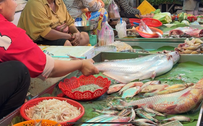 カンボジアの市場で出会った謎の淡水魚『トゲウナギ』を食べてみた
