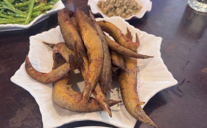 カンボジアの市場で出会った謎の淡水魚『トゲウナギ』を食べてみた