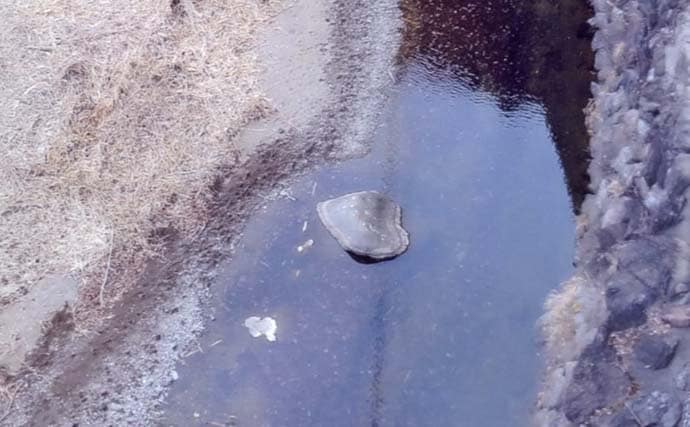 解禁直後に訪れたい秋山川の渓流釣りポイント【山梨】入渓しやすい中流域の好場所を紹介