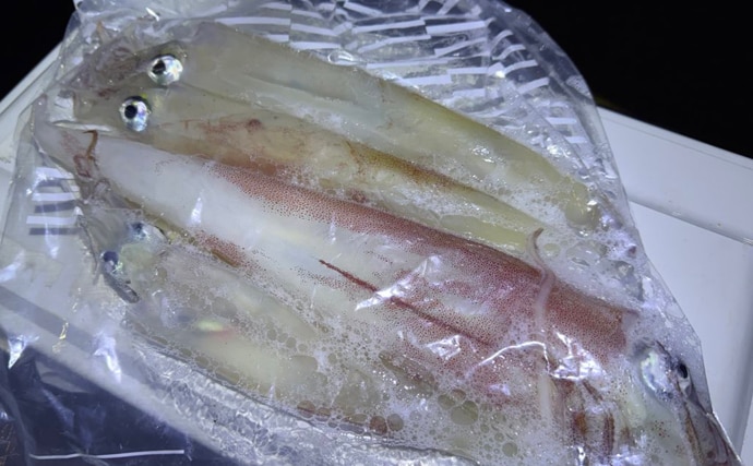 ヤリイカを釣ったので「禁断の？」塩辛を作ってみた　肝が決め手の濃厚な一品