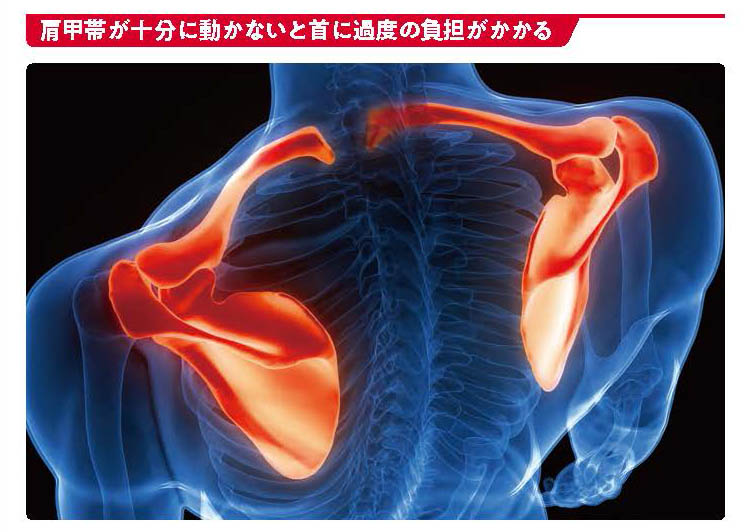 肩甲帯が十分に動かないと首に過度の負担がかかる【スポーツ障害予防の教科書】