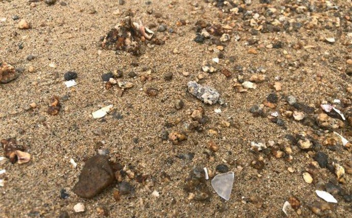 釣りの合間に【シーグラス探し】のススメ やれば釣りの腕前も上がるかも?