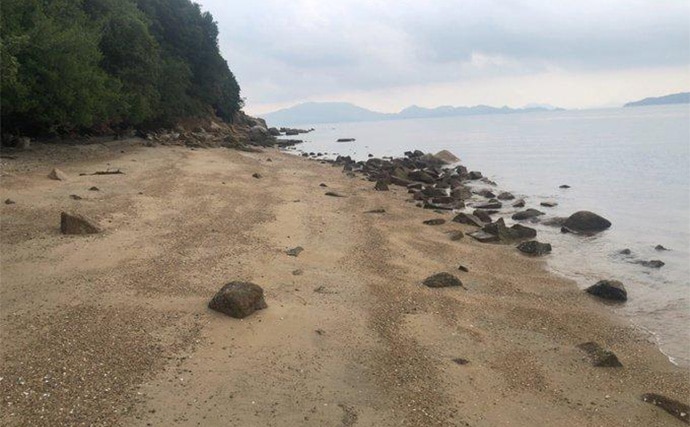 釣りの合間に【シーグラス探し】のススメ やれば釣りの腕前も上がるかも?