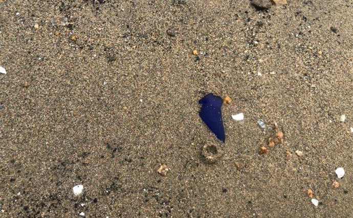 釣りの合間に【シーグラス探し】のススメ やれば釣りの腕前も上がるかも?