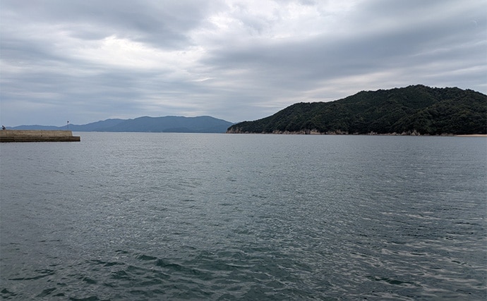 「エギングの合間に楽しもう！」エギングタックル流用のライトロックゲームでアコウ連発