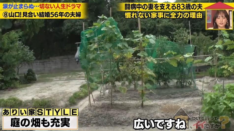 家、ついて行ってイイですか?