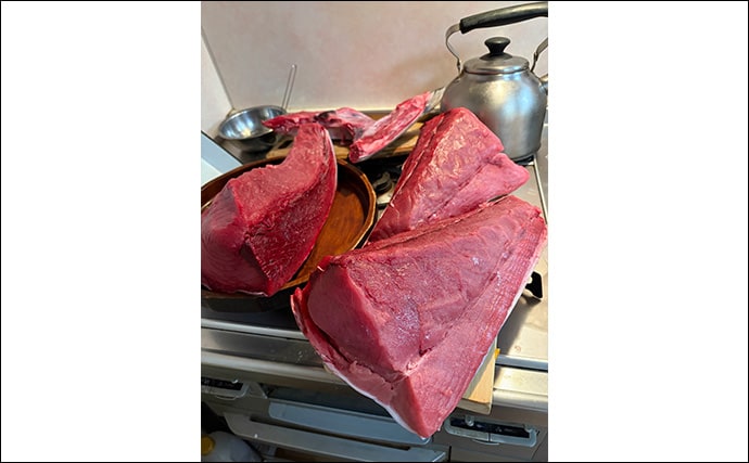 生まれて初めてキハダマグロ釣りに挑戦！【相模湾】 何もかもが規格外の釣りに圧倒