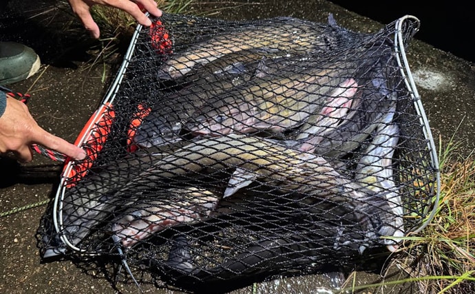 日本で2番目に大きな湖『霞ヶ浦』で「特定外来生物」の駆除が日常的なものに