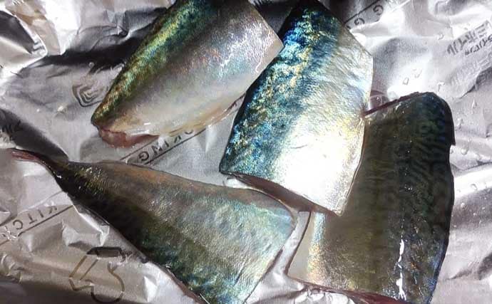 釣魚で作る「漁師飯」レシピ：首折れサバの若狭焼き　即〆で美味しさアップ