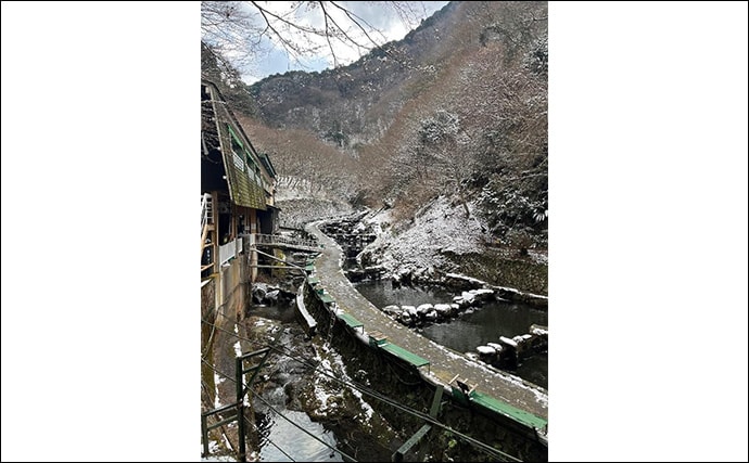 「午後だけで70匹！」極寒のエリアトラウト釣行で放流パターン炸裂【大阪・千早川マス釣り場】