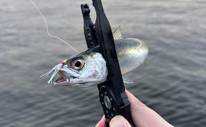 ショアジギで【フックにティンセルをつける意味】 ヨレヨレのまま使用はダメ？