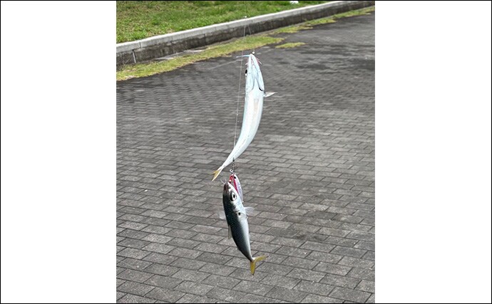 ショアジギで【フックにティンセルをつける意味】 ヨレヨレのまま使用はダメ？