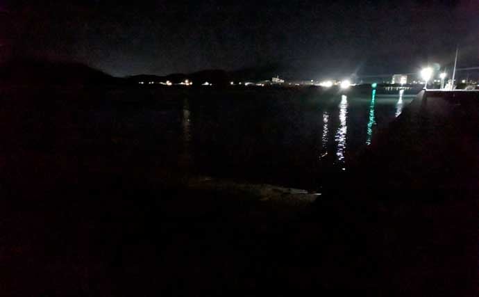 紀南エリアのランガンルアーフィッシングでガシラ祭り【和歌山】今後はアオリに期待