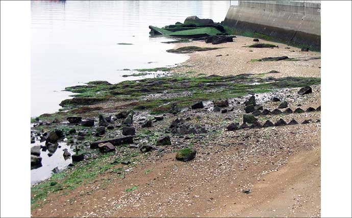 遠浅サーフ攻略の鉄則　満潮・干潮それぞれの長所短所と狙いやすいターゲットを解説