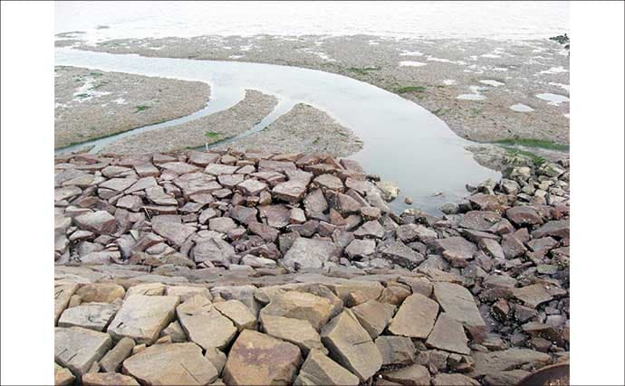 遠浅サーフ攻略の鉄則　満潮・干潮それぞれの長所短所と狙いやすいターゲットを解説