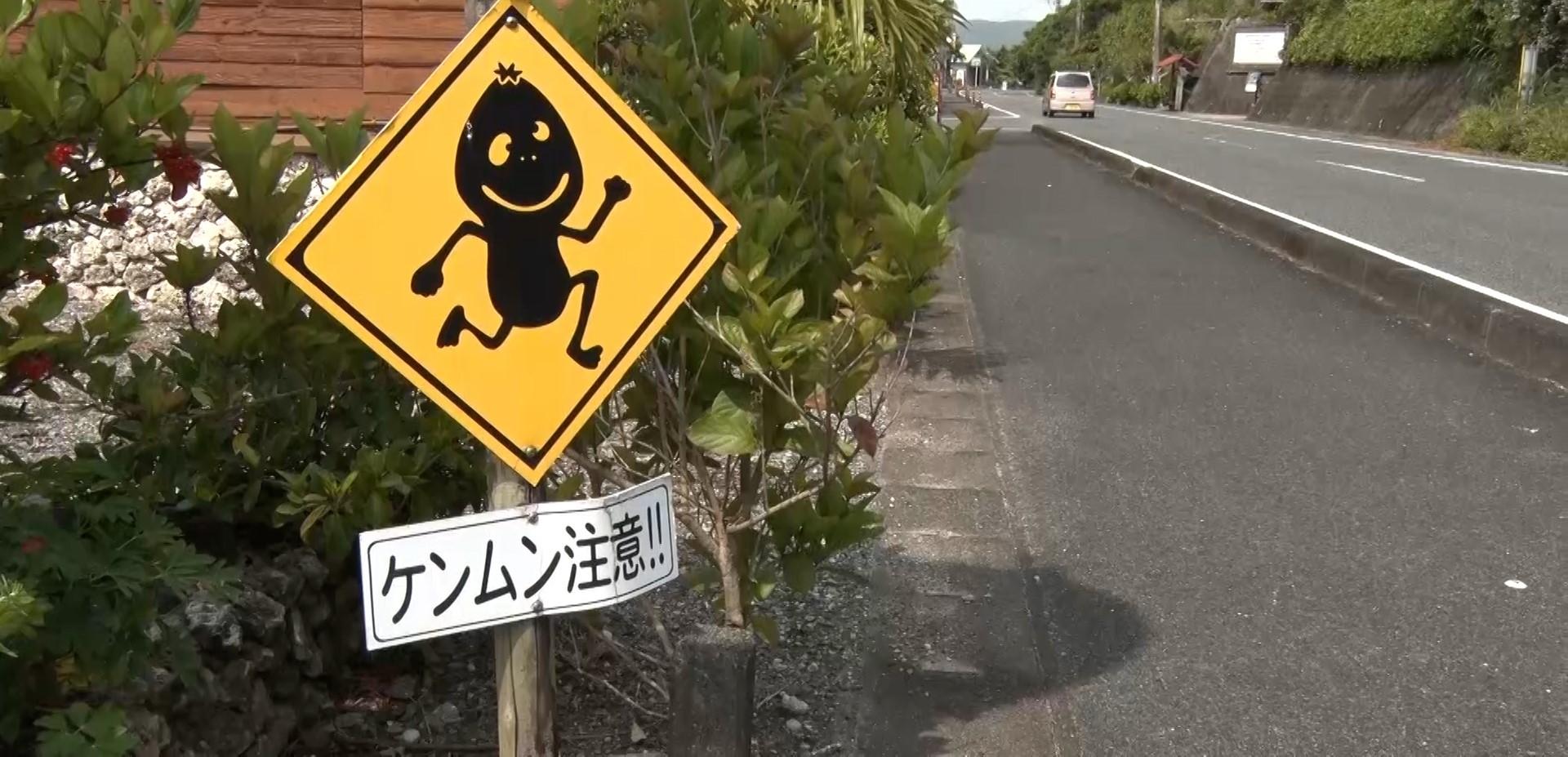 記事画像