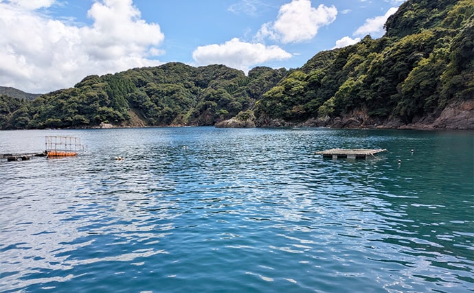 日中の漁港でエギング＆ロックゲーム！【福井】アオリイカとアオハタ連発で好機到来