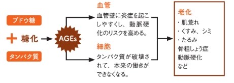 高血糖が老化を加速する！？【眠れなくなるほど面白い 図解 炭水化物の話】