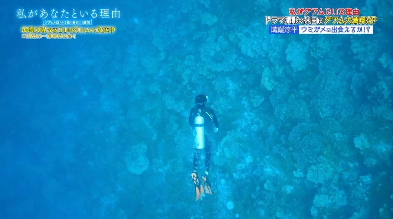 記事画像