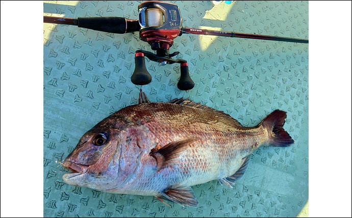 「串本カセ釣りのポテンシャルが炸裂！」 40〜60cmの良型マダイ16匹と大爆釣
