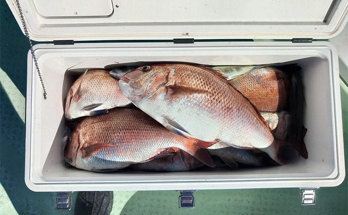 「串本カセ釣りのポテンシャルが炸裂！」 40〜60cmの良型マダイ16匹と大爆釣