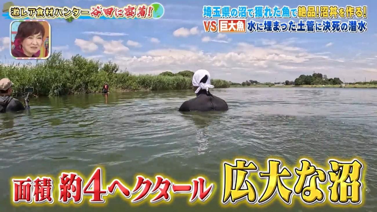 記事画像
