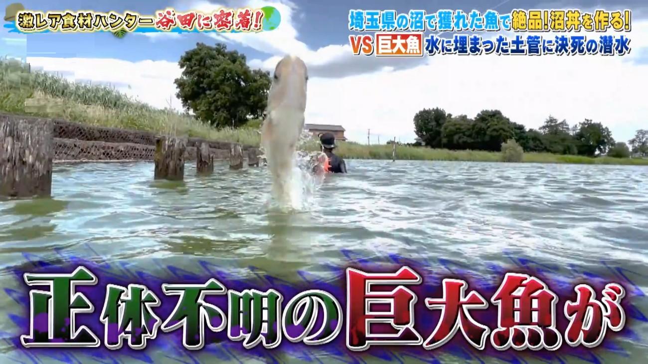 記事画像