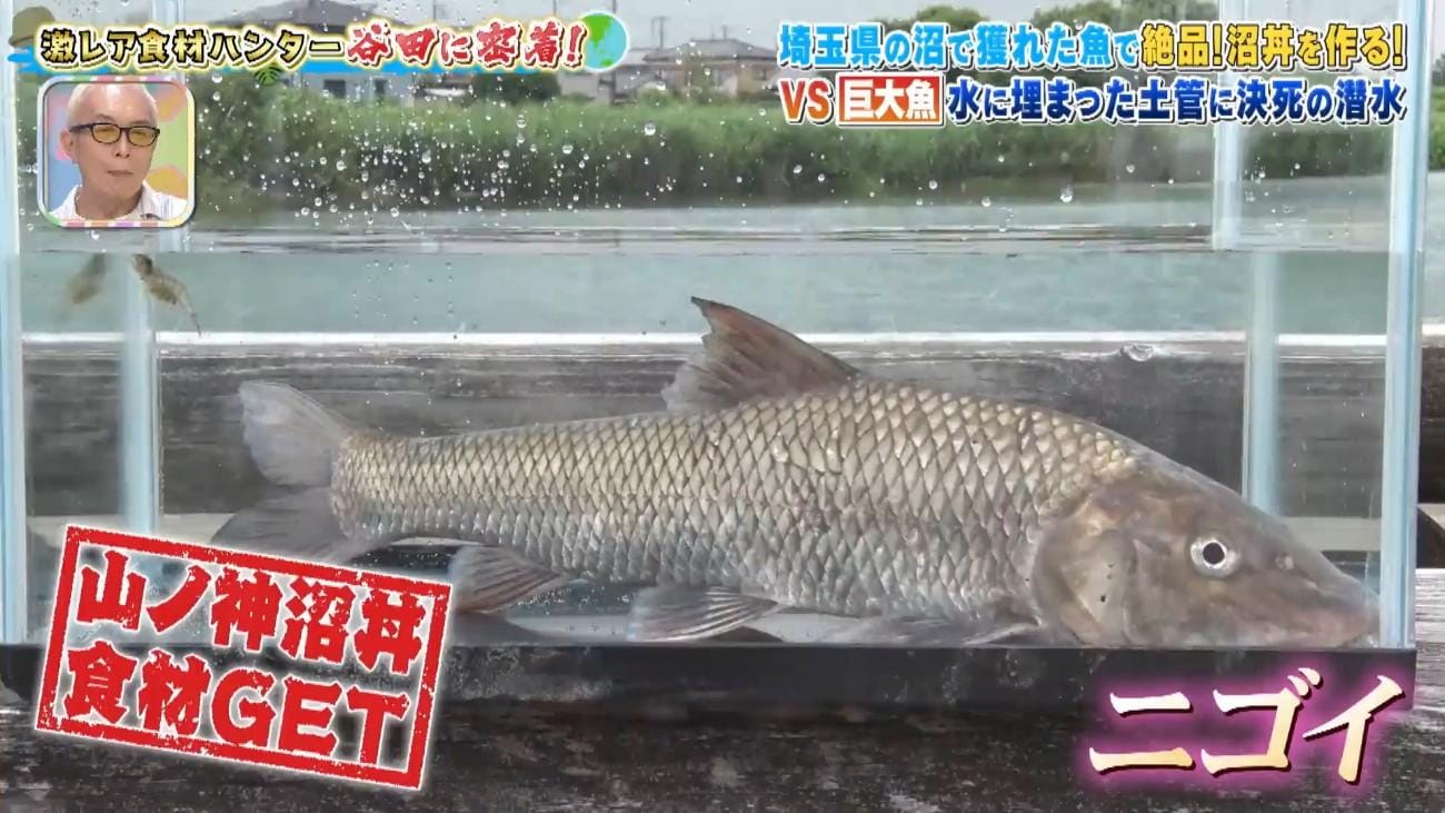 記事画像